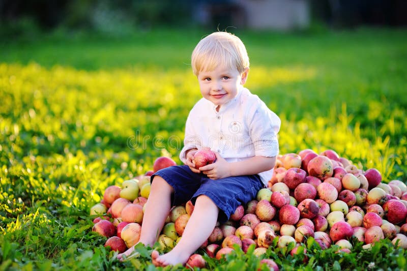 Ребенку можно свежее яблоко. Мальчик ест яблоко в саду. В саду едят яблоки. Ребёнок ест лук как яблоко.