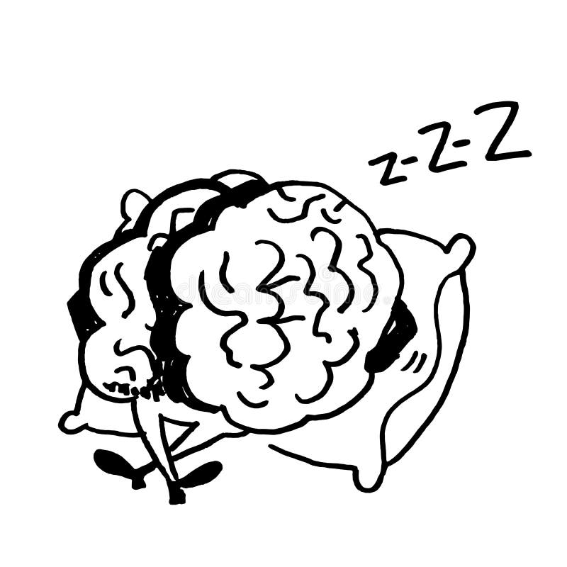 Sleeping brains. Вектор спящий мозг. Сон и мозг.