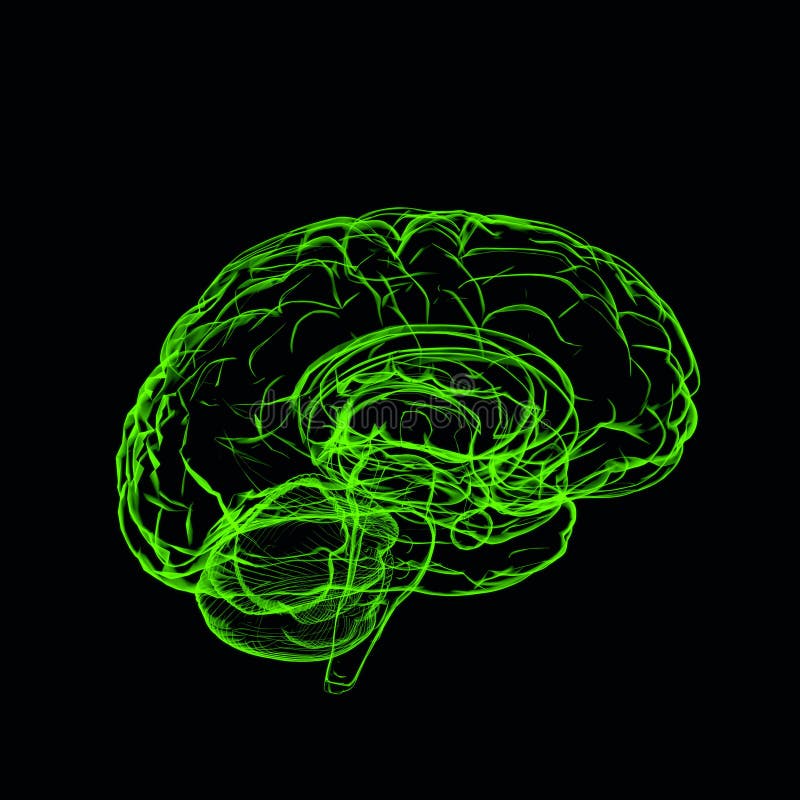 Green brain. Зеленый мозг. Зеленый мозг Герберт. Мозг на зеленом фоне. Мозги на зелёном фоне.