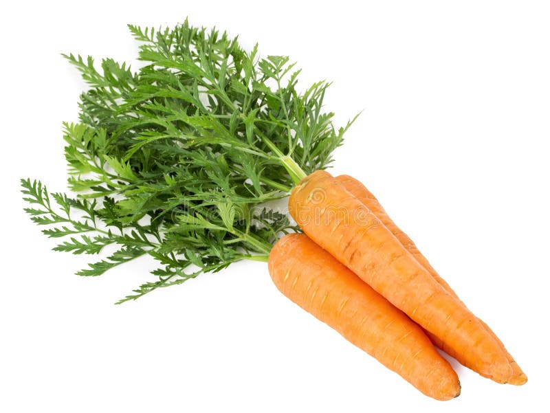 Морковь на тарелке. Морковь изолированная. Carrot White background. Clipped Carrots on a White background.