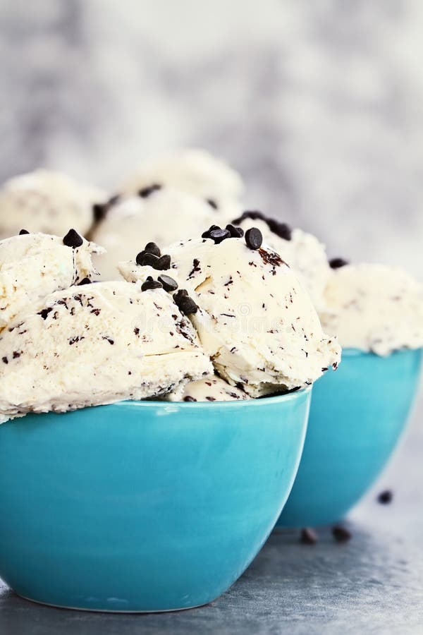 Chocolate Chip Ice Cream