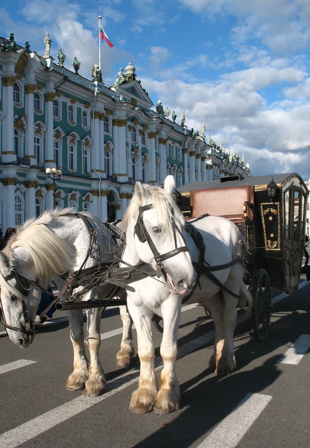 Вокруг св. Экипаж с лошадьми фото. Русский музей конь. Белый конь Санкт Петербург фото. Музей с лошадьми фото летом где находится.