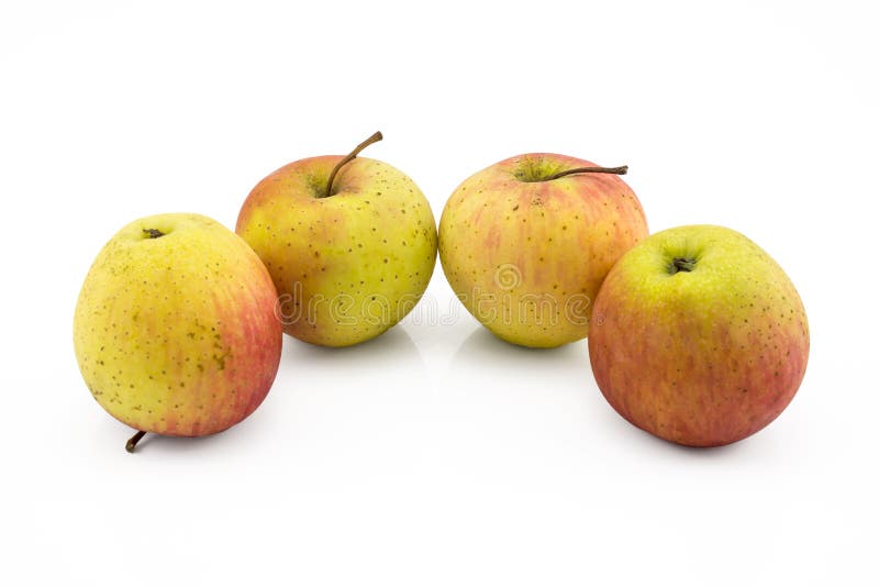 4 Яблока. Apl04 Apple Desert 13x13. Четверо яблок