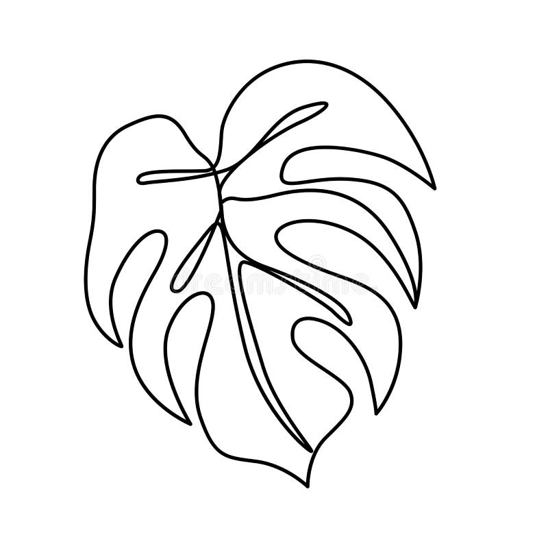 Непрерывная линия Monstera лист. Тропические листья контурят рисунок  Иллюстрация вектора - иллюстрации насчитывающей линия, ярлык: 172452877