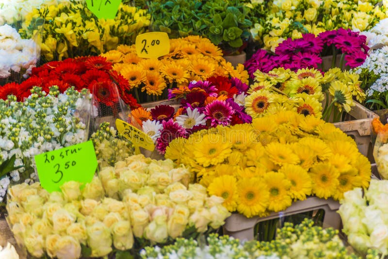 Цветочный рынок Bloemenmarkt