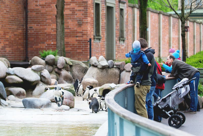 Зоопарк нюрнберга