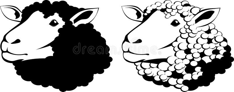Овца в профиль рисунок