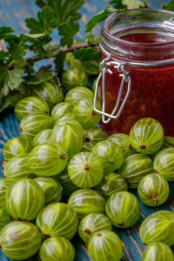 Закатываем банки с вареньем крыжовника фото