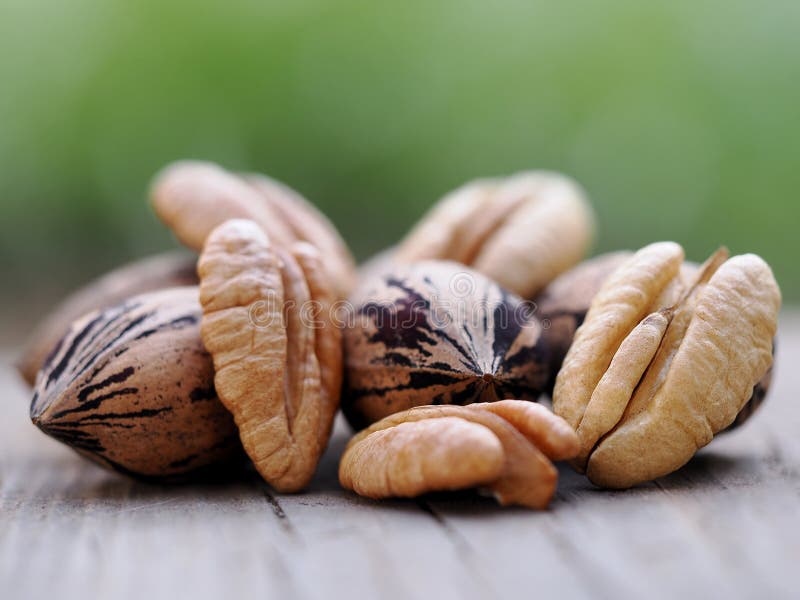 National Pecan Sandy Day