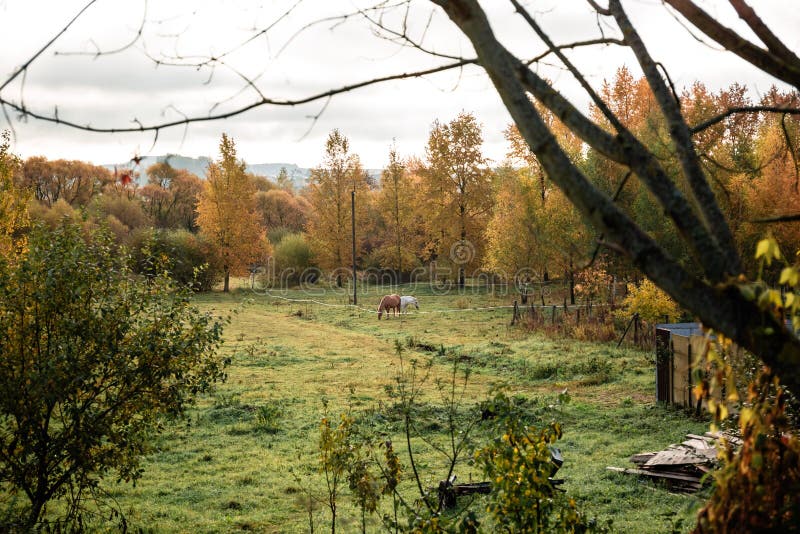 Фото Осенней Природы В Деревне