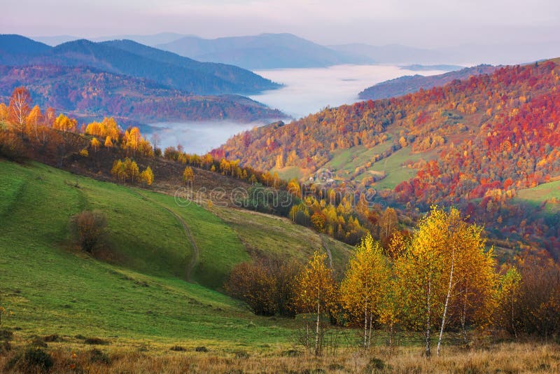 Осенняя Деревня Фото