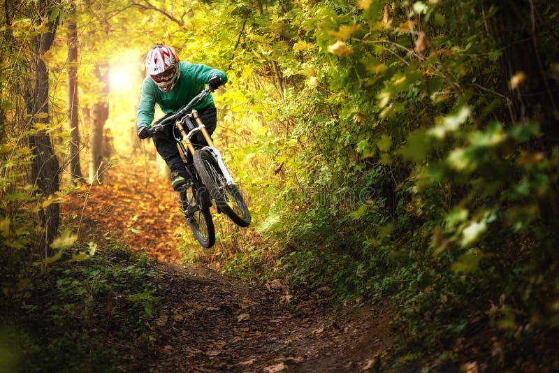 Freeride лес