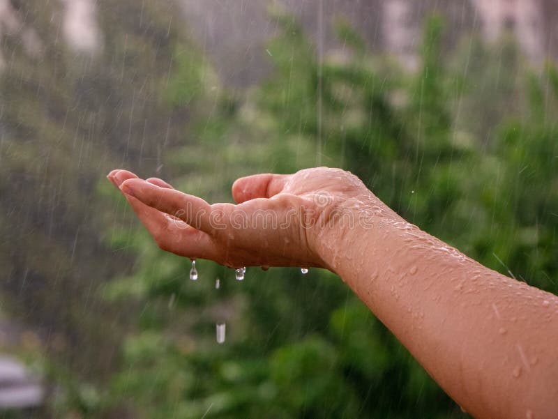 Рука догнать. Женская рука ловит дождь. Капелькой дождя упал на твои ладони. Фото руки ловят дождь. Почему дождь падает каплями.