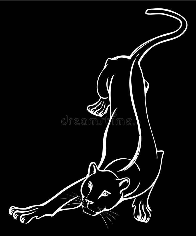 Кошка багира рисунок