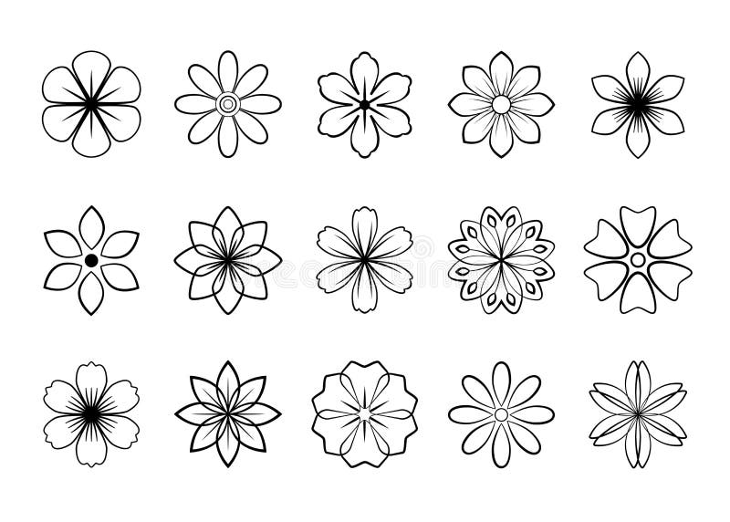 74 5 Pedal Flower Images, Stock Photos, 3D objects, & Vectors