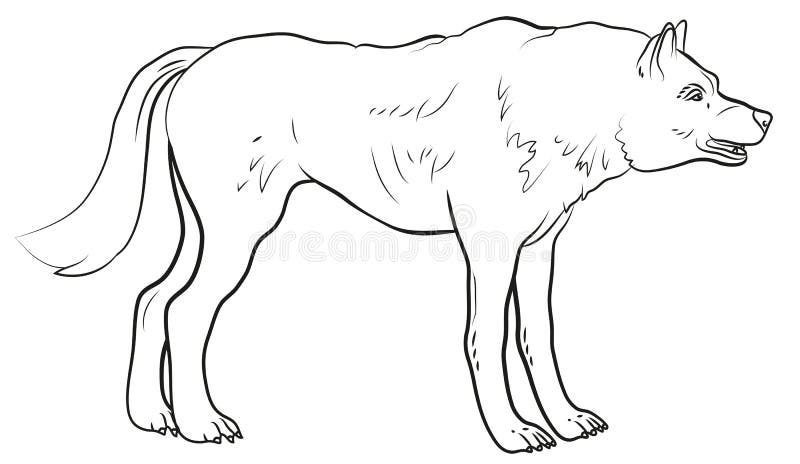 Wolf Black White Stock Illustrations 9 551 Wolf Black White Stock Illustrations Vectors Clipart Dreamstime