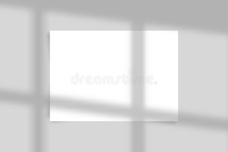 Overlay Shadow of Rabitz Net. Fence Reflection on Transparent Background.  Blurred Silhouette of Grid Stock Vector - Illustration of reflection,  backdrop: 252395732