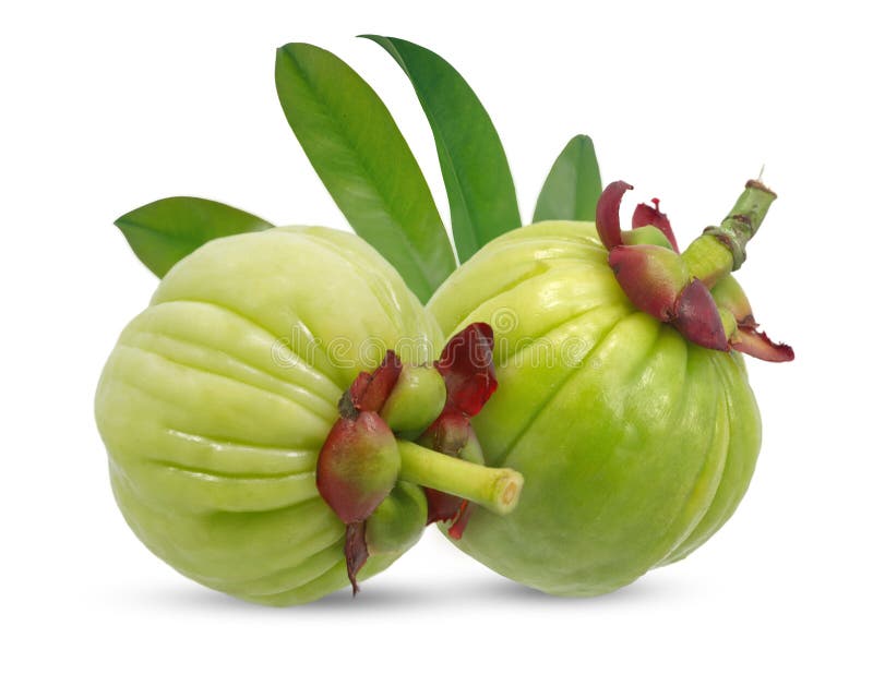 Garcinia atroviridis