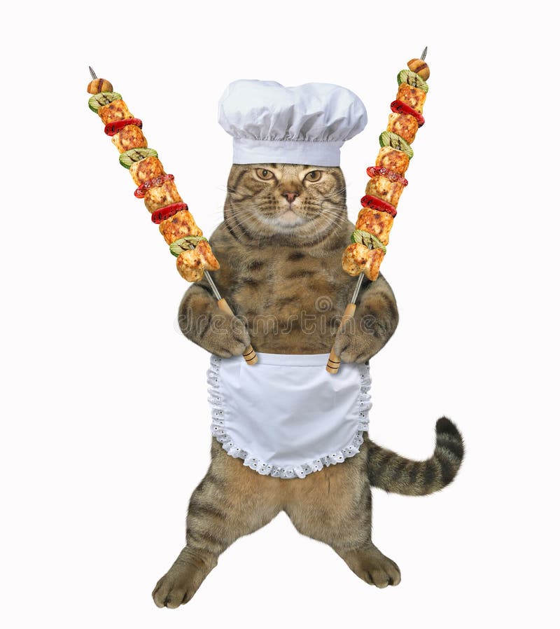 Кот повар картинки