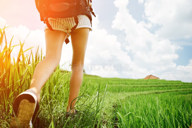 Женские ноги поле. Прогулки по траве. Девушка босиком по траве. Ноги на траве. Ноги летом.