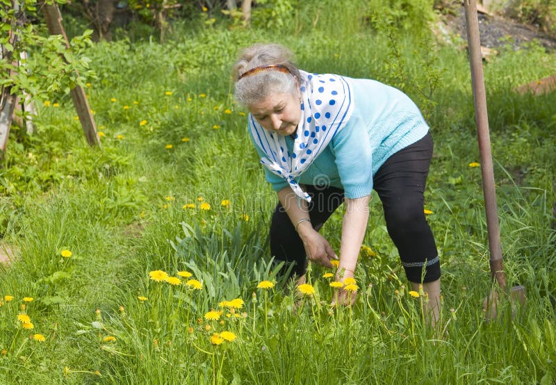 Старые женщины на природе. Бабушка в огороде. Женщина в огороде. Пожилая женщина в огороде. Женщины на даче летом.