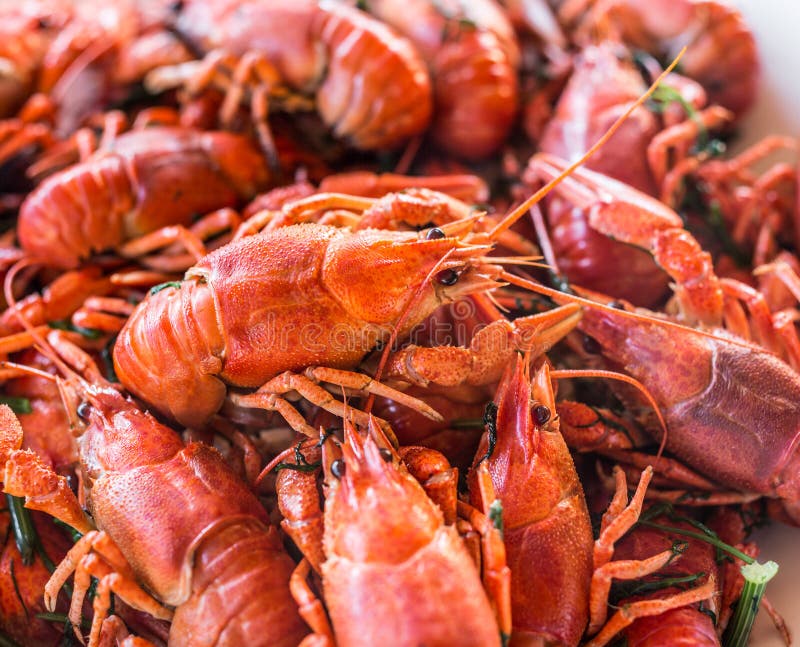 Кипящие раки. Бокс с лобстерами небольшой. Rak food. Beer Prawns boiled.