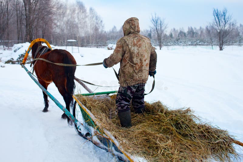 Розвальни число Розвальни число