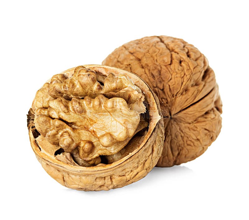 Скорлупка грецкого ореха. Сколупа грецкогоореха. Скорлупка грецкого ореха. Орехи в скорлупе. Половинка грецкого ореха.