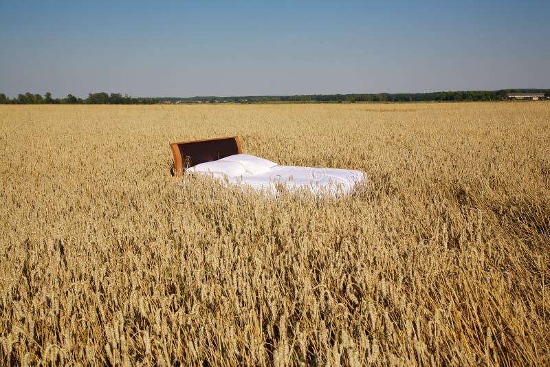 Фото в поле в постели