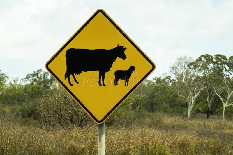 Придорожный знак. Корова и знак вопроса. Корова со знаком БМВ.