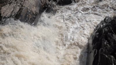 Прекрасная Мощная Торрент Бурной Горной Реки. Ливень. Река Бурится.