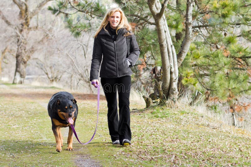 Женщина гуляла с собакой белгород. Девушка обслуживает собак. Женщина Бостон терьером на прогулке. Дама выгуливает двух ротвейлеров.