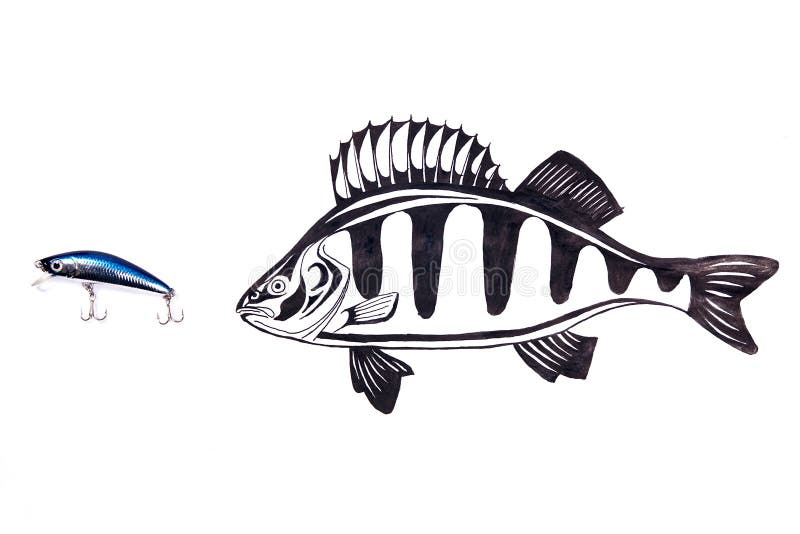 ловить рыбу. пропустить рыб. строение костистой рыбы-карпа. черноморская треска.