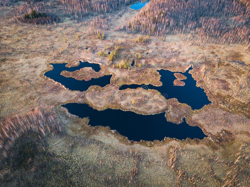 Природный рубеж россии. Фотографии Чанов древних в болотах Якутии.