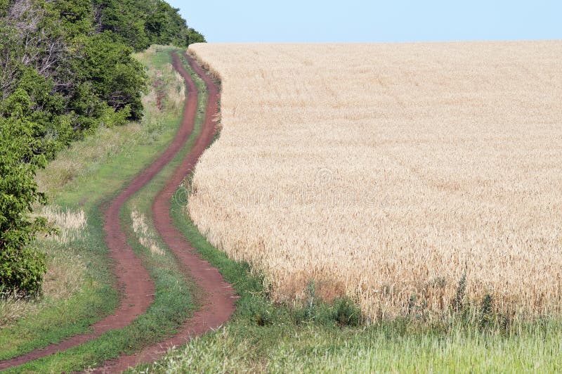 Курган лысый в ростовской области. Проселочная дорога 9 букв сканворд. Проселочная дорога 9 букв сканворд. Деревенская дорога. Проселок проселочная дорога.