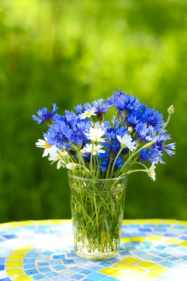 %D0%BF%D1%80%D0%BE%D1%81%D1%82%D0%BE%D0%B9-%D0%B1%D1%83%D0%BA%D0%B5%D1%82-cornflowers-%D0%B8-%D0%BC%D0%B0%D1%80%D0%B3%D0%B0%D1%80%D0%B8%D1%82%D0%BE%D0%BA-wildflowers-75669331.jpg