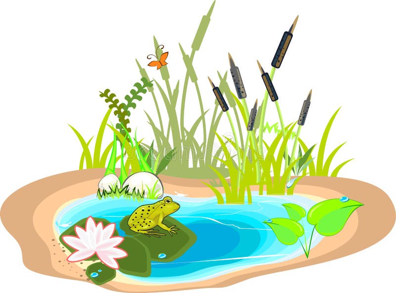 Картинка пруд для детей на прозрачном фоне для детей