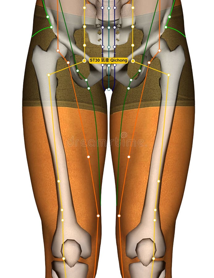 St точка. St34 Acupuncture point. Точку St-29 – Гуилай. Точка St 30 st30 акупунктуры. St 34 Меридиан.