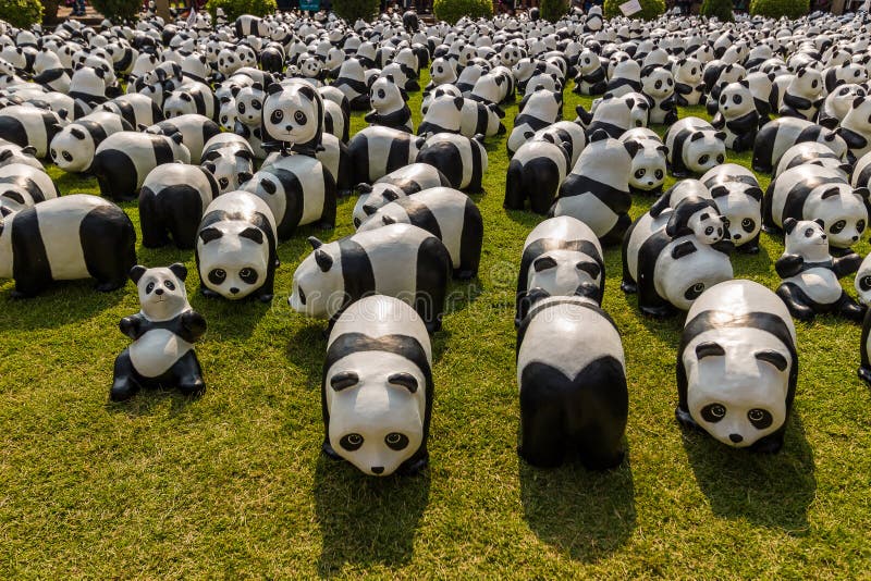 Мир панда все открыто