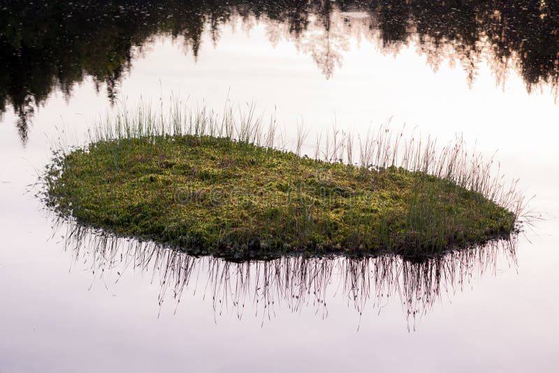 Остров святовский мох Остров святовский мох