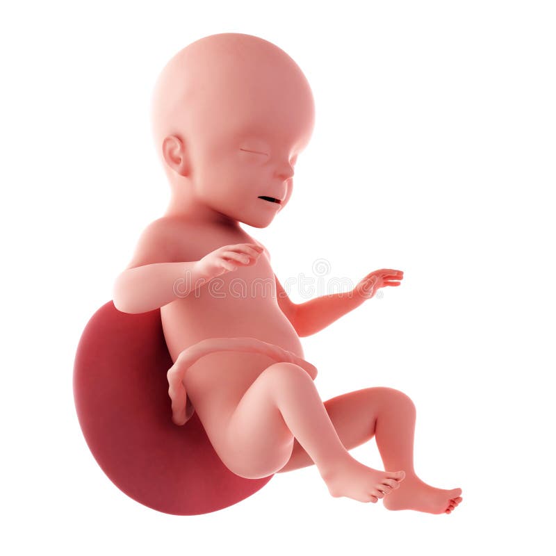Как будут выглядеть наши дети по фото: найдено 86 картинок