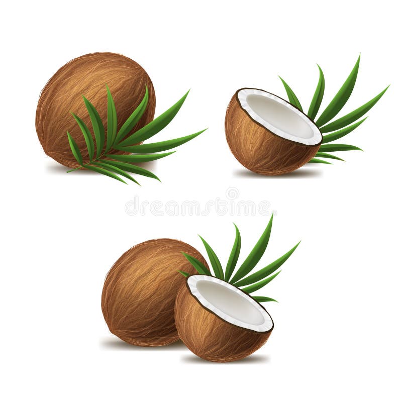 Кокос иконка