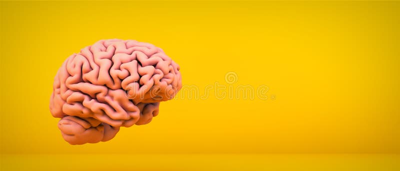 Brain h. Мозг на желтом фоне. Мозг розовый. Мозг на розовом фоне. Мозг на светло желтом фоне.