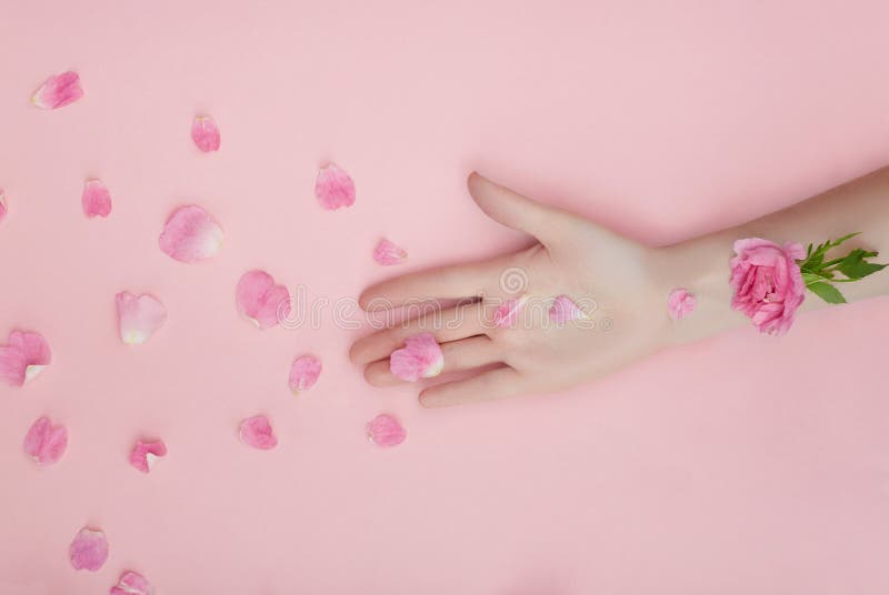 Почему руки розовые. Розовая рука. Руки с розовыми цветами. Розовые цветы в руках.