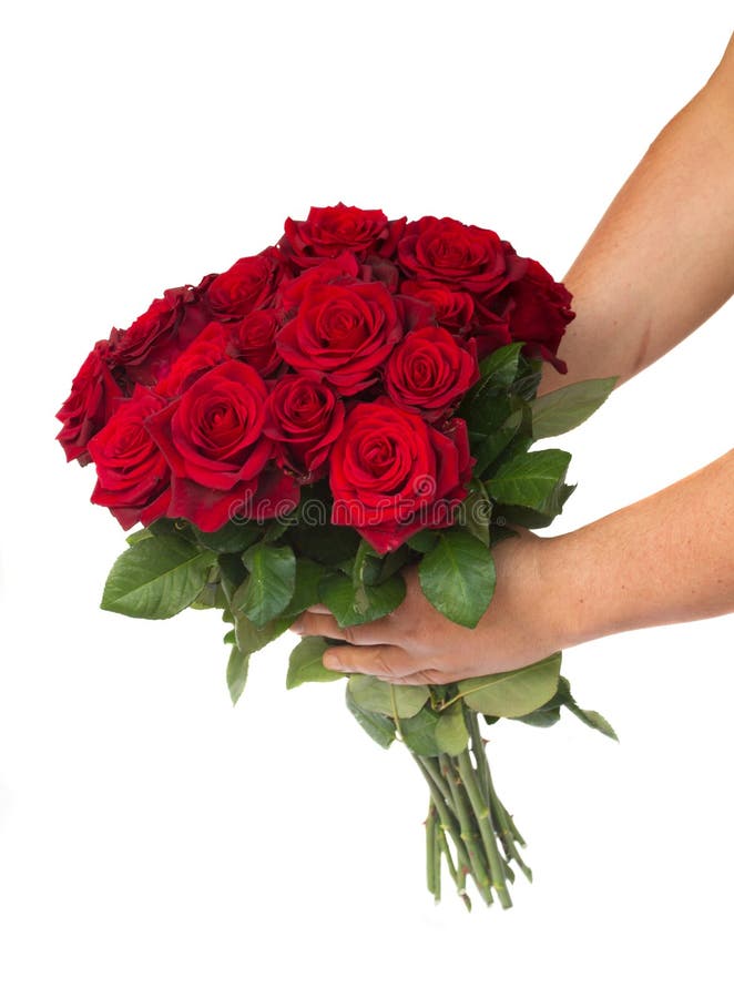 Четные и нечетные цветы дарят. Букет роз в руках. Букет в протянутой руке. Букет в руке на белом фоне.