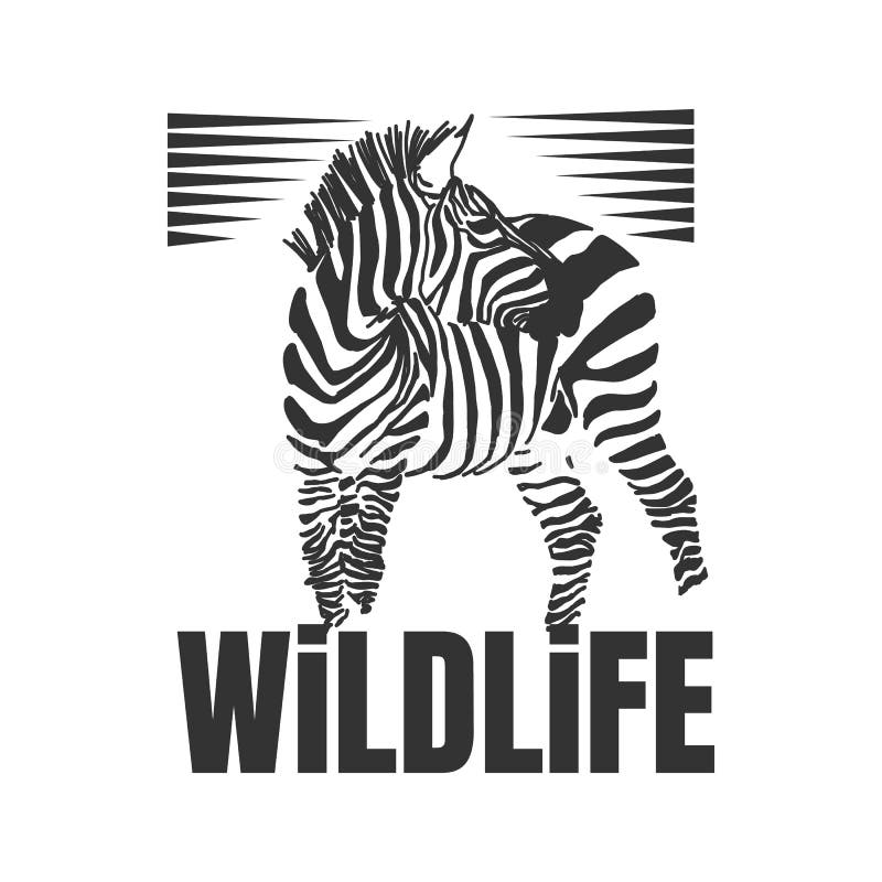 Wildlife text. Графическое изображение зебры. Зебра иконка. Зебра логотип. Зебра рисунки художников.