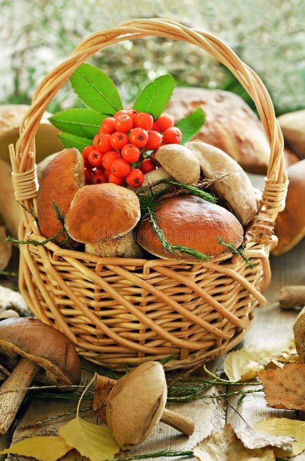 Рябина в корзинке