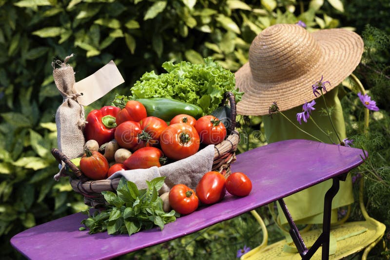 Vegetables on a Table in a Garden. Садится на овощи