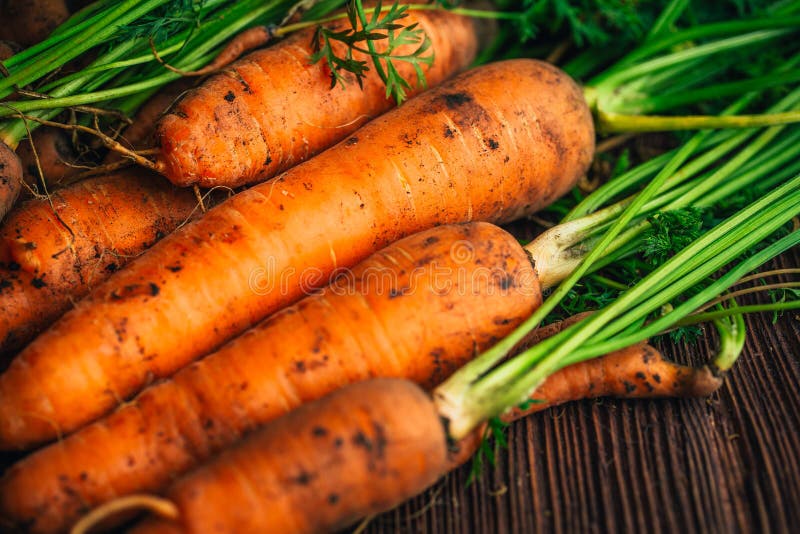 Свеж на конце. Морковь вверх ногами. Семена морковки зелёного цвета есть.