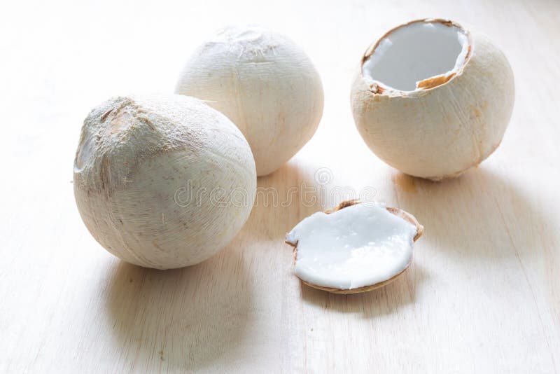 File:Cocos nucifera - Köhler–s Medizinal-Pflanzen-187.jpg - Wikipedia